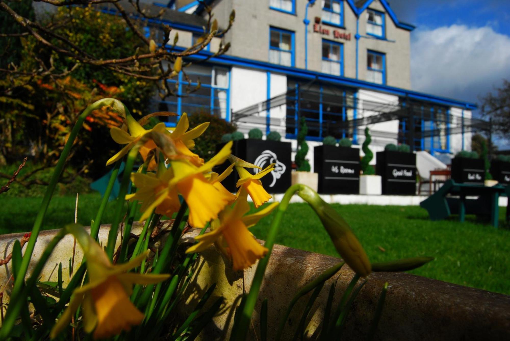 Lion Hotel & Studio Apartments Criccieth Bagian luar foto